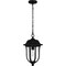 Quoizel Mulberry Outdoor Hanging 1 Light Matte Black MUL1909MBK - alternate 2
